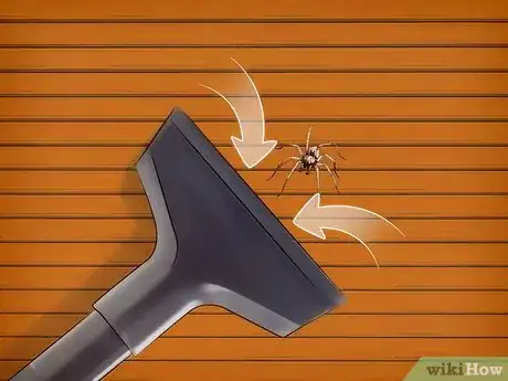 Image intitulée Kill Spiders when You Have Arachnophobia Step 1