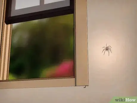 Image intitulée Kill Spiders when You Have Arachnophobia Step 6