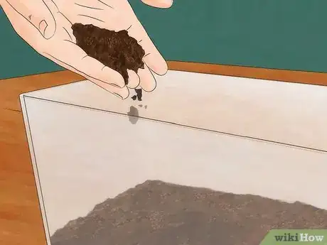 Image intitulée Care for Garden Snails Step 5