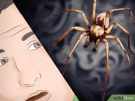 Image intitulée Kill Spiders when You Have Arachnophobia Step 10