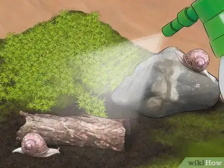 Image intitulée Care for Garden Snails Step 10