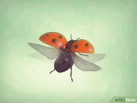 Image intitulée Take Care of a Ladybug Step 9