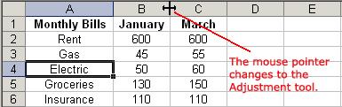 Selecting a Column's Border