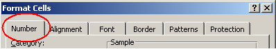 The Number Tab on the Format Cells Dialog Box