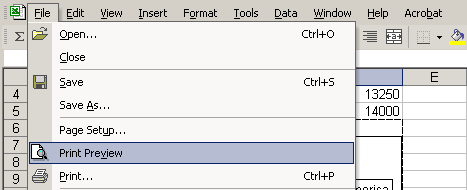 File and Print Preview Menu Selections