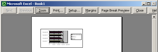 Print Preview Dialog Box