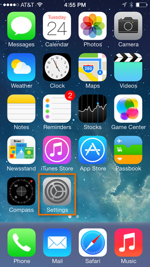 Screenshot of the iPhone