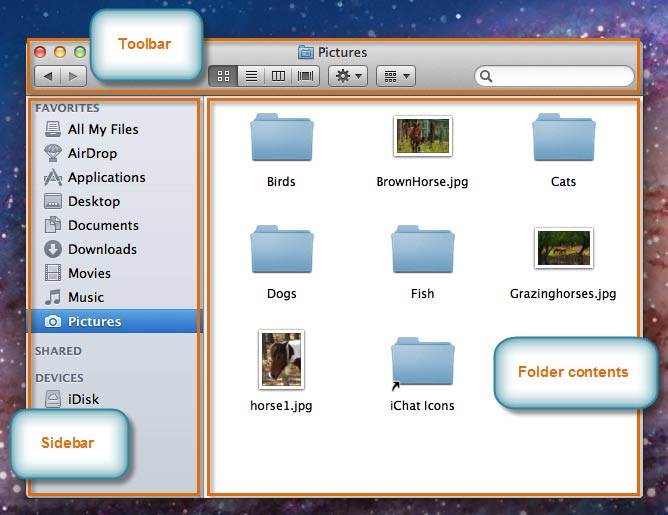 The Finder window