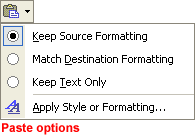 Paste Options button