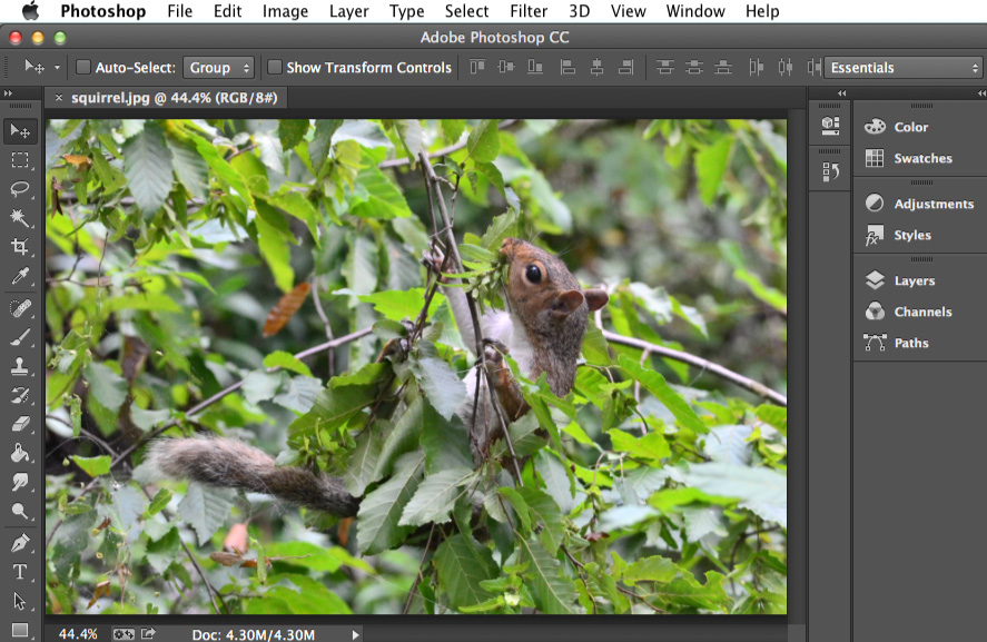 Screenshot of Adobe Photoshop CC