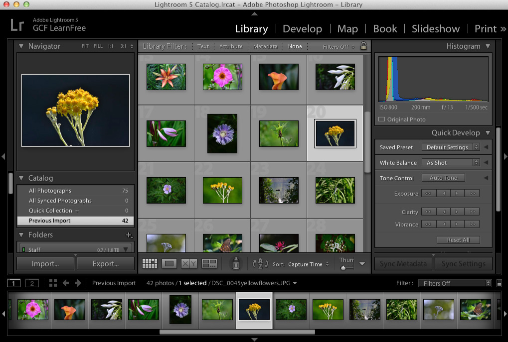 screenshot of lightroom