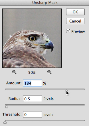 Screenshot of Adobe Photoshop CC