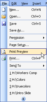 Click on File, choose Print Preview