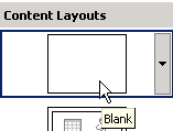 Insert 
Blank Slide