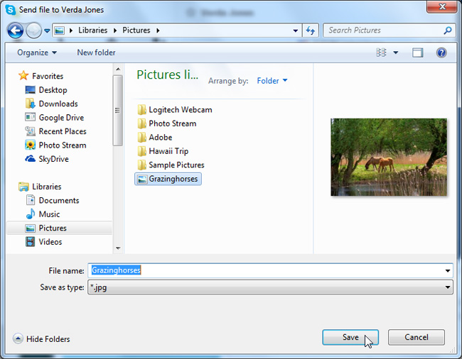 Screenshot of Skype