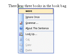 Grammar Error Example