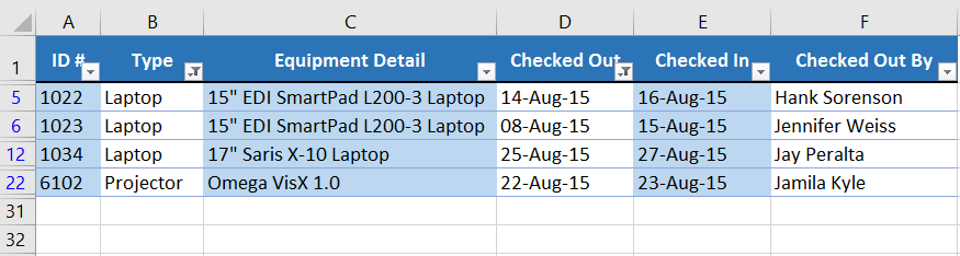 The worksheet now has two filters