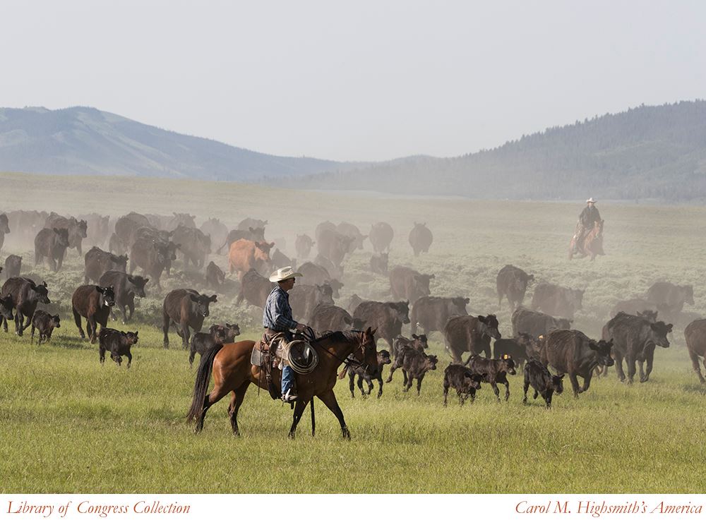 Big Creek Ranch Branding Day