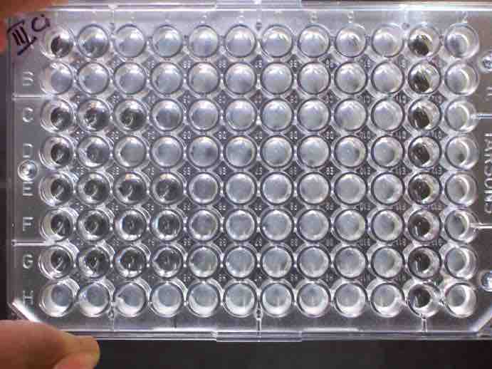 Microbroth Dilution Method