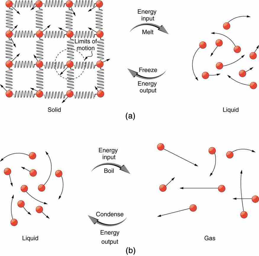 Phase Transitions