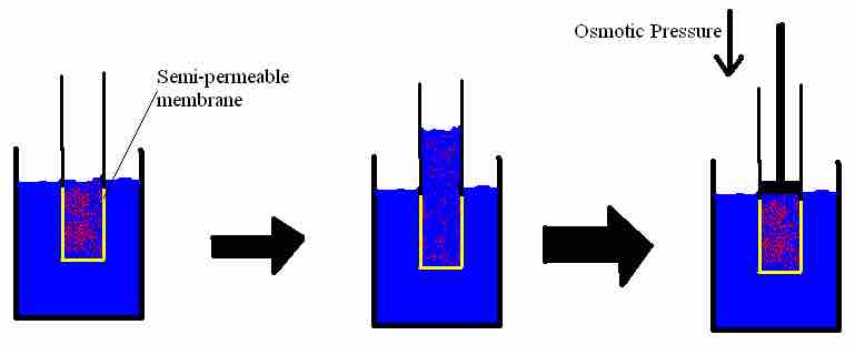 Osmotic pressure