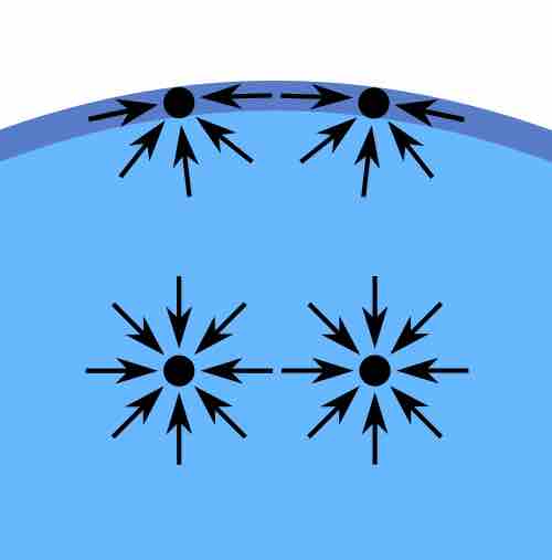 Diagram of forces on molecules in a liquid