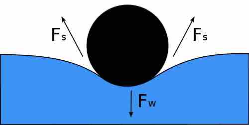 Resolution of forces on a "floating needle"