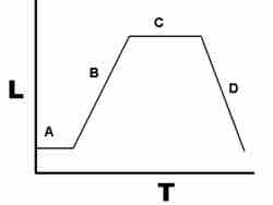 Bacterial growth curve