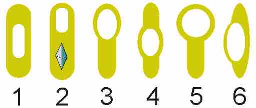 Endospore morphology