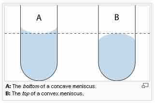 The meniscus curve on a column of fluid in a capillary tube