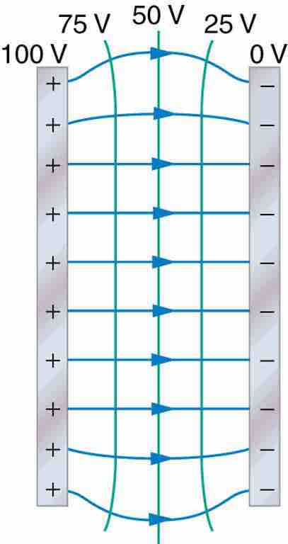 Equipotential Lines Between Two Plates