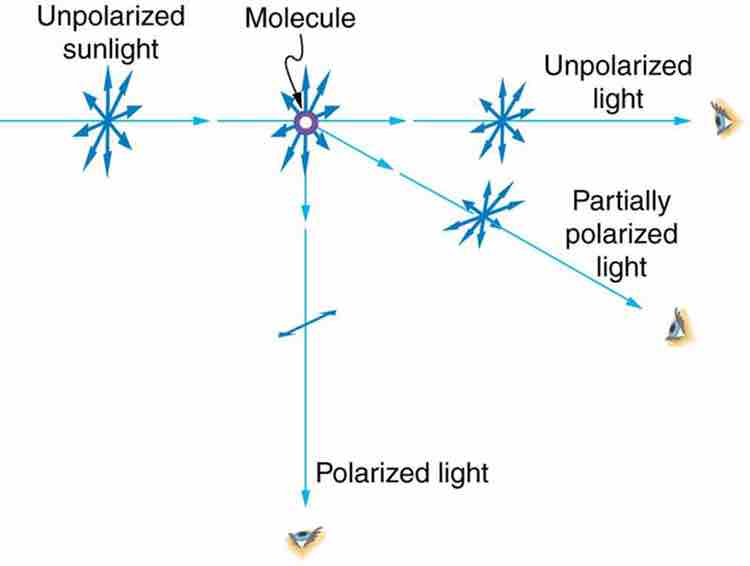 Polarization by Scattering