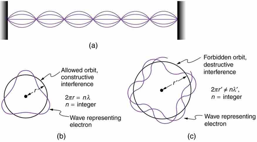 Waves on a String