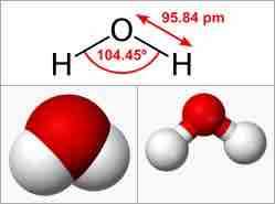 Water Molecule