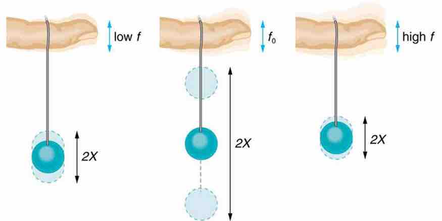 Paddle Balls and Frequencies