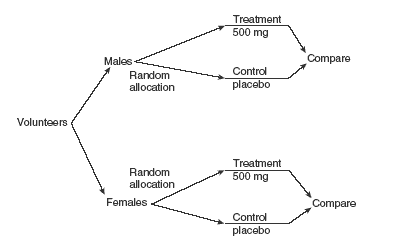 Block Design