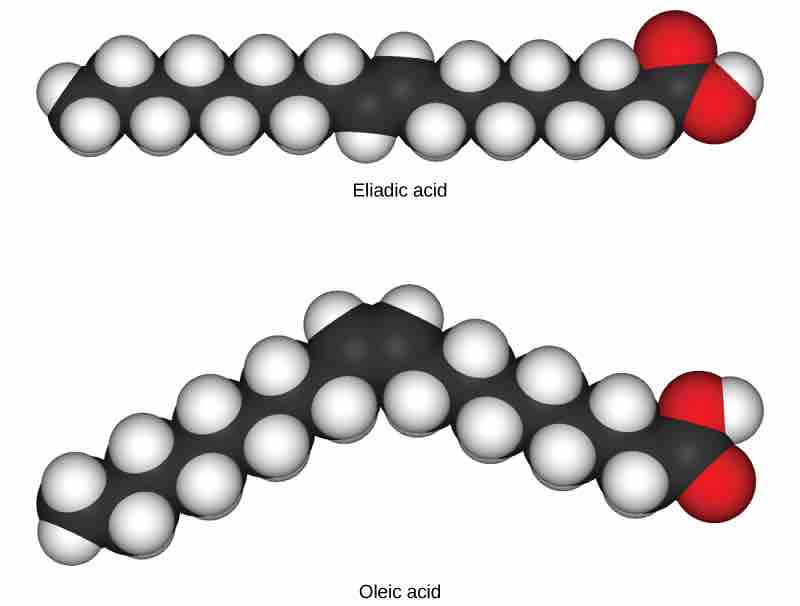 Cis and Trans Fatty Acids