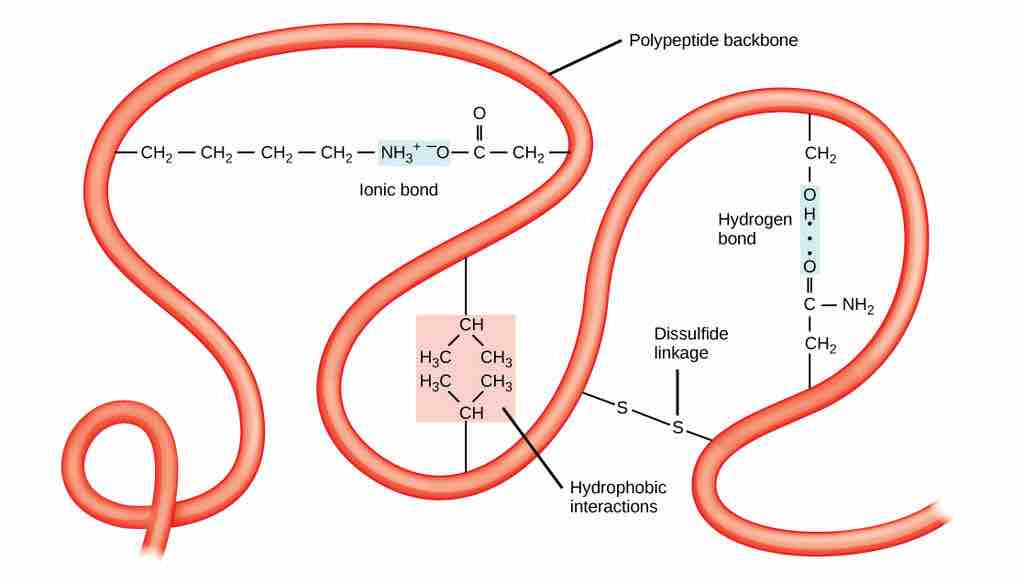 Tertiary structure