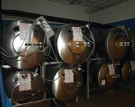 Alcohol Fermentation