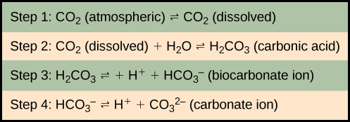 Formation of bicarbonate