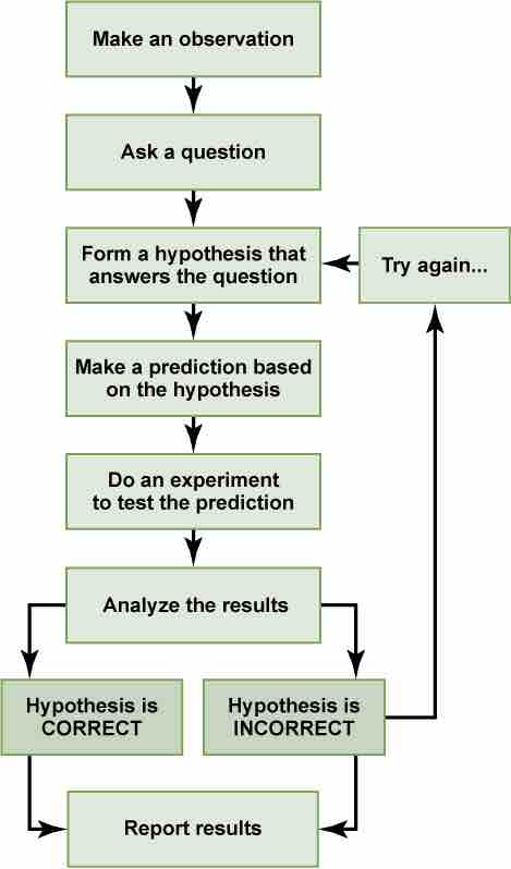 The Scientific Method