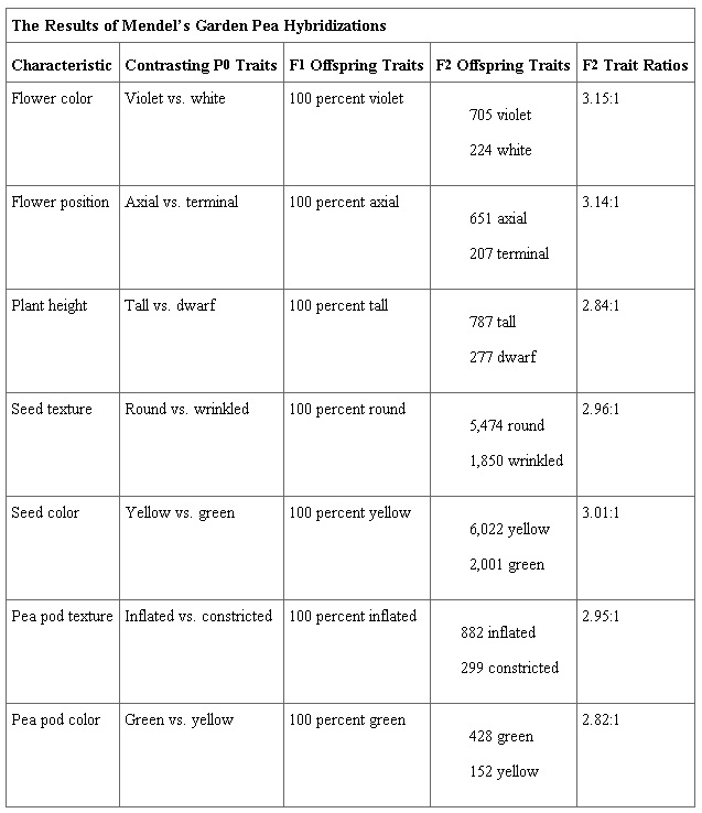 Results of Mendel's Garden Pea Hybridizations