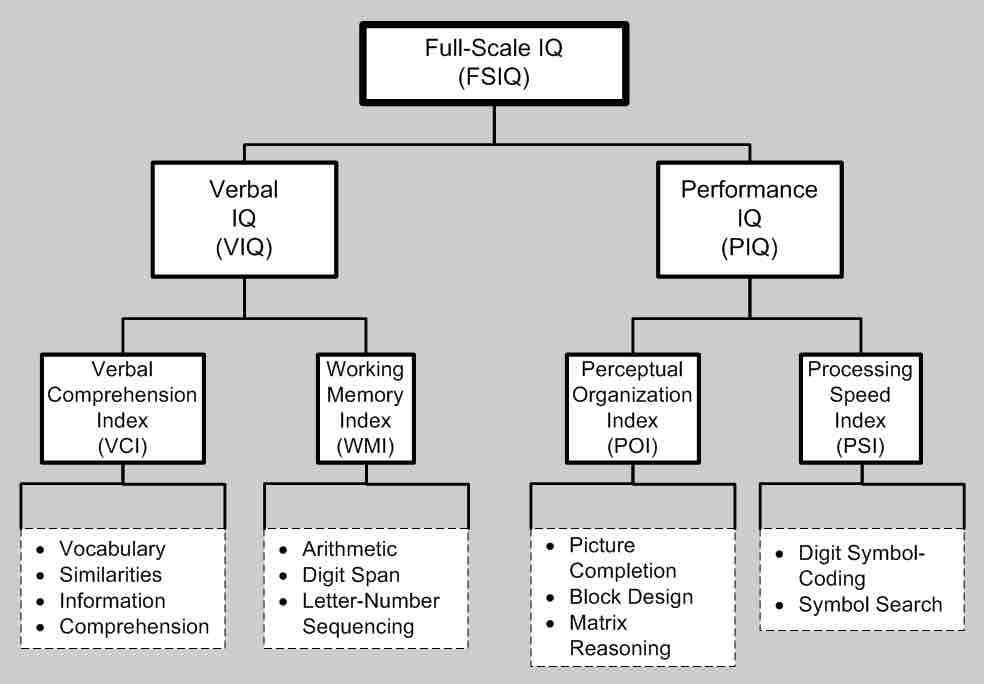 WAIS Test Components