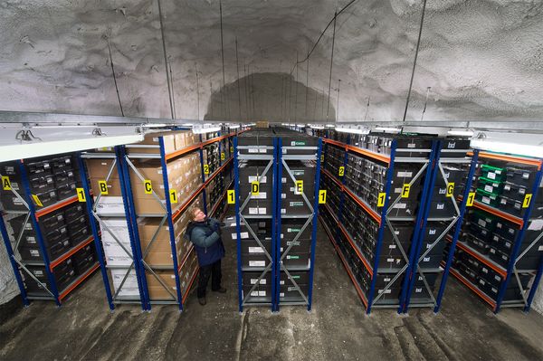 Svalbard Global Seed Vault