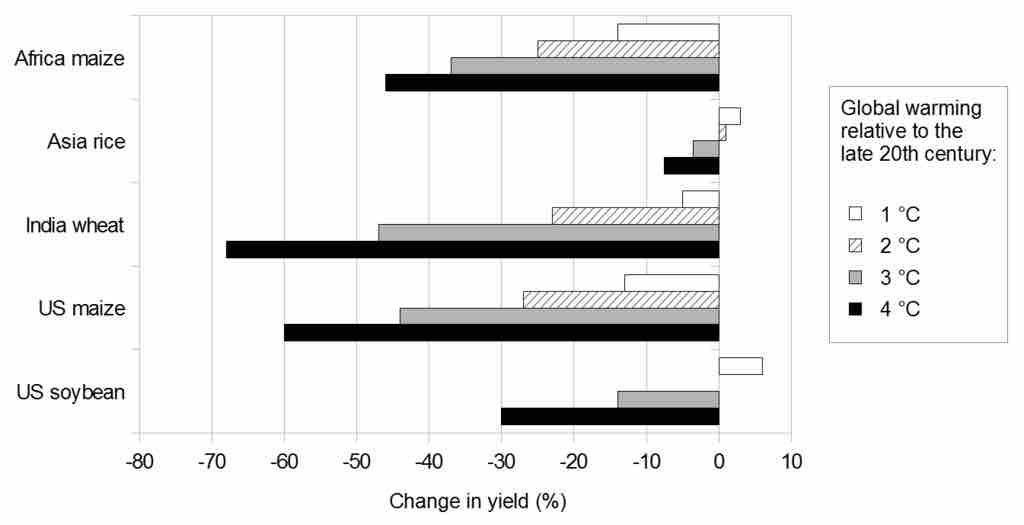 Climate Change Affecting Agriculture