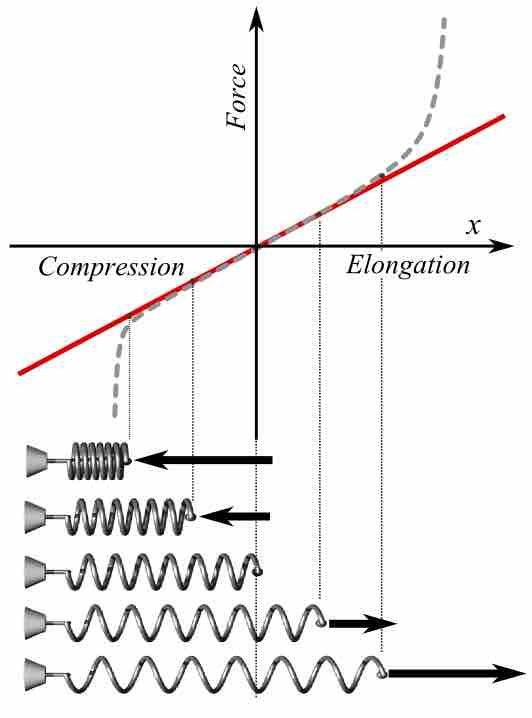 Hooke's Law