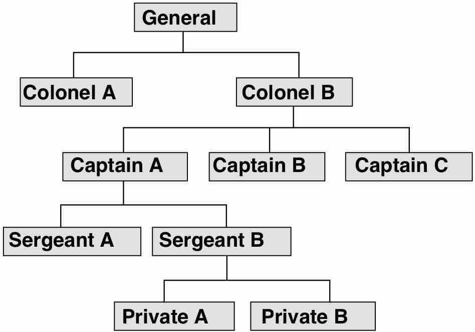 Organizational chart