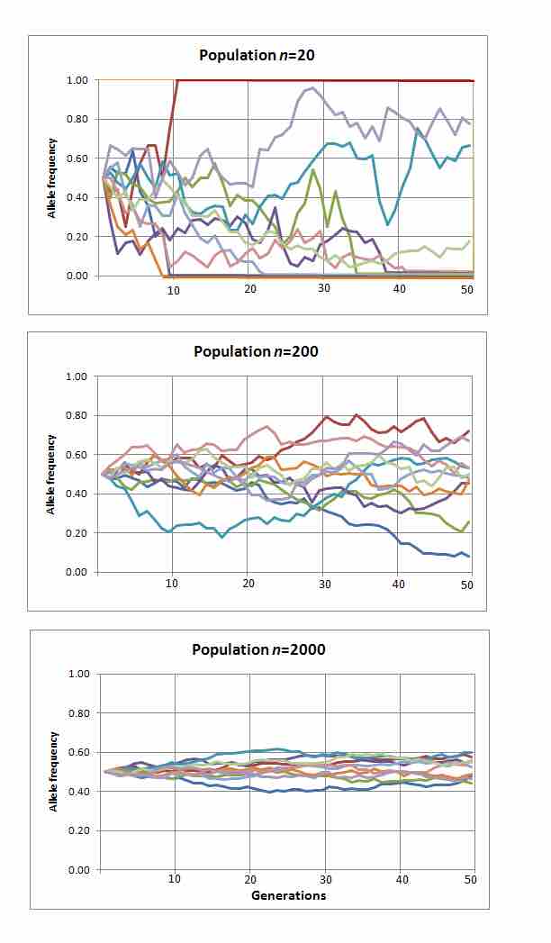 Genetic drift over time