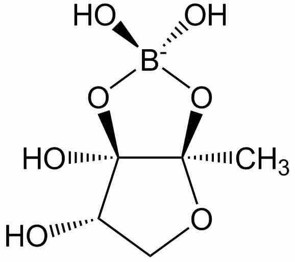 Autoinducer-2