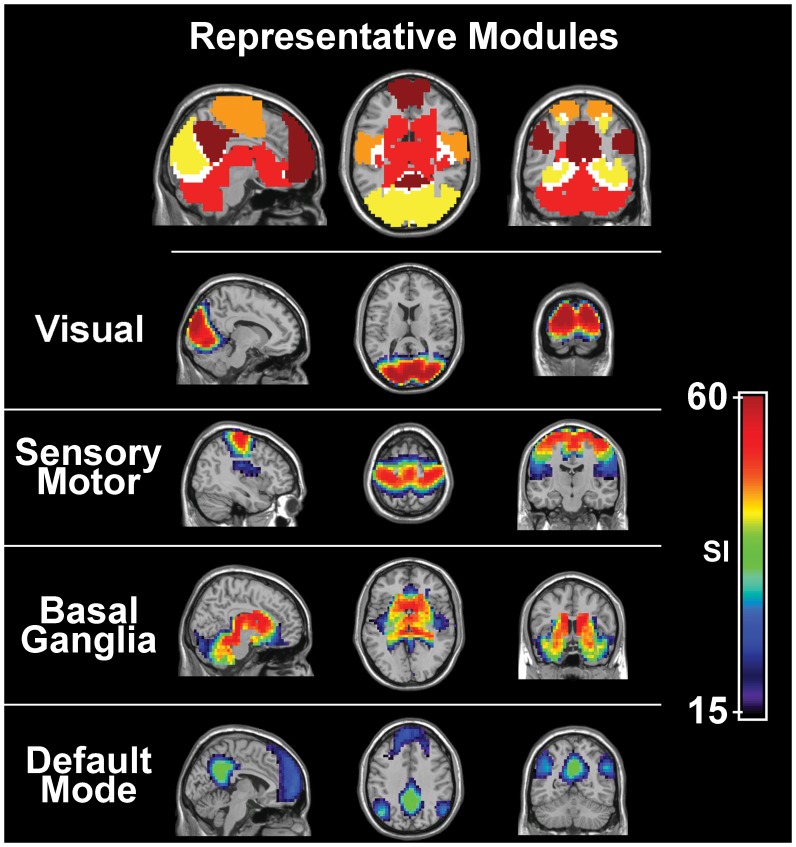 fMRI and the senses